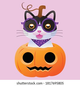 vector lindo, gato blanco sentado en una calabaza sobre un fondo rosado, ilustración de caricatura para halloween.