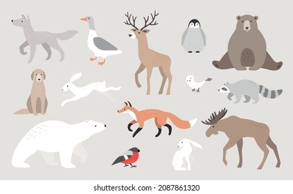 Cute vector wild animals. Wolf, goose, deer, penguin, bear, hare, fox, polar bear, racoon, moose, birds. Winter wildlife.