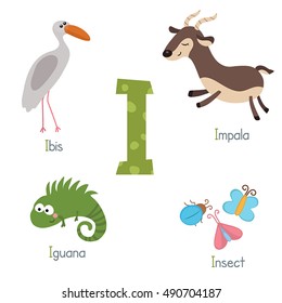 Cute vector zoo alphabet. Funny cartoon animals: ibis, impala, iguana, insect.