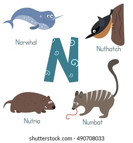 Cute vector zoo alphabet. Funny cartoon animals: narwhal, nuthatch, nutria, numbat.