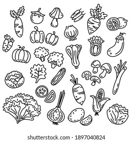 Cute Vegetable Black Line Doodle With White Background, Carrot, Radish, Salad, Corn And Mushrooms 