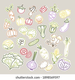 Cute Vegetable Color Line Doodle With Background, Carrot, Radish, Mushrooms, Corn, Eggplant And Onion.