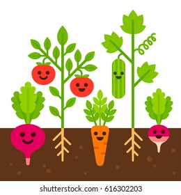 Cute vegetables with smiling faces growing in soil. Vegetable garden set, flat cartoon vector illustration.