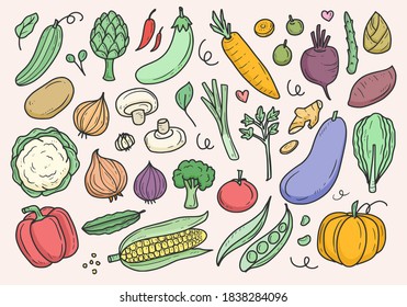 Conjunto de dibujo de doodle vectorial de verduras cortas