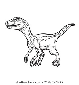 Nette Velociraptor Färbung Seite schwarz und weiß Umriss Illustration.