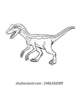 Nette Velociraptor Färbung Seite schwarz und weiß Umriss Illustration.