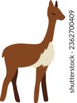 Cute vicuna vector illustration isolated