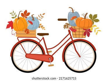 Cute vintage red bicycle, wood crate, and basket with pumpkins, colorful autumn leaves, rowan berries, and forest mushrooms. Isolated on white background. Vector illustration.