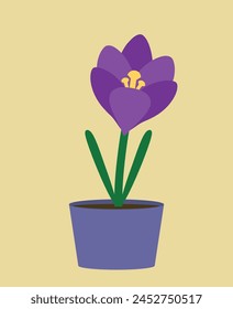 Cute violet crocus flower in a blue pot on yellow background