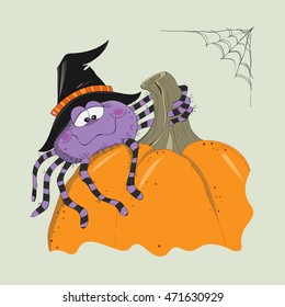 a cute violet spider in a black witch hat is sitting on a pumpkin, halloween illustration, cartoon drawing, vector