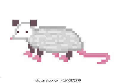 Cute Virginia opossum character, pixel art icon isolated on white background. 8 bit North American animal symbol. Old school vintage retro slot machine/video game graphics.