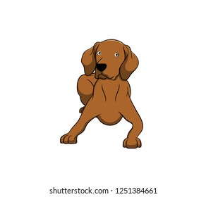 Cute Vizsla Cartoon Dog. Vector illustration of purebred vizsla dog.