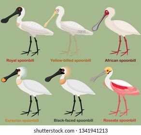 Cute Wading Bird Vector Illustration Set Stock Vector (Royalty Free ...