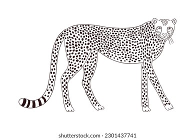 Dibujo de dibujos animados a mano, dibujos animados, dibujos animados. Arte de línea, diseño de estilo de dibujo, vector aislado. Animales tropicales, vida silvestre de la jungla, gatos grandes, safari, naturaleza, elemento impreso