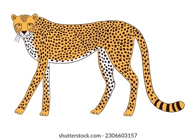 Dibujo de dibujos animados a mano, dibujos animados, dibujos animados. Arte de línea, diseño de estilo de dibujo, vector aislado. Animales tropicales, vida silvestre de la jungla, gatos grandes, safari, naturaleza, elemento impreso