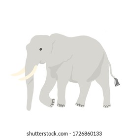 linda ilustración vectorial de elefantes caminando.