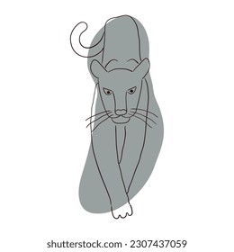 Dibujo de caricaturas dibujadas a mano por una pantera que camina. Arte de línea, diseño de estilo de dibujo, vector aislado. Animales tropicales, vida silvestre de la jungla, gatos grandes, safari, naturaleza, elemento impreso