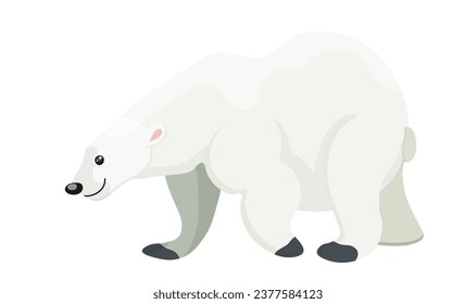 Cute walking polar bear, wild mammal, wildlife nature. Arctic predator, huge strength, winter design animal, endangered species. Isolated on white background. Vector illustration