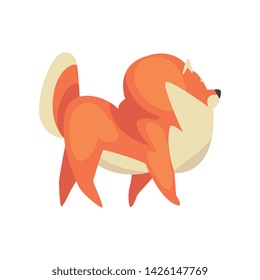 Cute Walking Pomeranian Spitz, Funny Pet Dog Cartoon Character, Side View Vector Illustration
