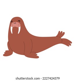 Cute walrus animals, funny northern seal with huge tusks, adorable arctic mammal. flat cartoon, vector illustration isolated on white background