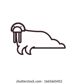 Cute walrus cartoon line style icon design, Animal zoo life nature character childhood and adorable theme Vector illustration