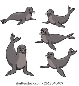 Ilustração de vetor de desenho animado de morsa bonito