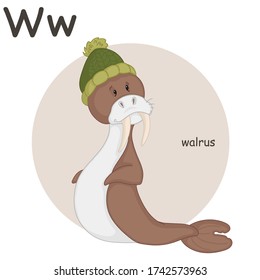 Cute walrus in a green knitted hat. Letter  W