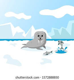 Cute Walrus Hunting Fish in Arctic Illustration Flat Design