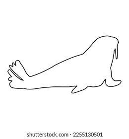 Cute walrus line silhouette on a white background. Vector hand drawn kids illustration. Sea ocean. Underwater world