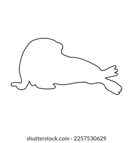 Cute walrus line silhouette on a white background. Vector hand drawn kids illustration. Sea ocean. Underwater world - Shutterstock ID 2257530629