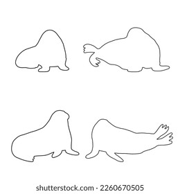 Cute walrus line silhouette on a white background. Vector hand drawn kids illustration. Sea ocean. Underwater world