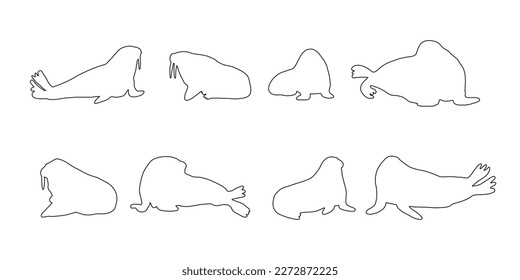 Cute walrus line silhouette on a white background. Vector hand drawn kids illustration. Sea ocean. Underwater world