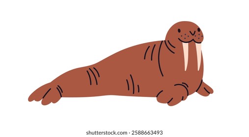 Cute walrus lying. Happy arctic antarctic animal relaxing. Adorable marine mammal with fangs, tusks and flippers, fins. Polar fauna character. Flat vector illustration isolated on white background