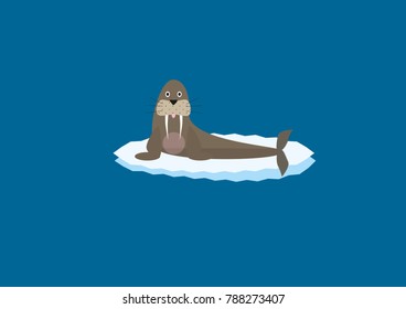 Cute walrus on an ice float in the sea