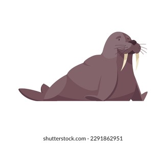 Cute walrus on white background flat vector illustration