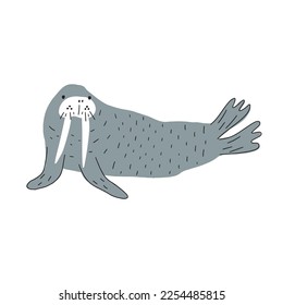 Cute walrus in Scandinavian style on a white background. Vector hand drawn kids illustration. Sea ocean. Underwater world