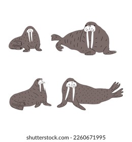 Cute walrus in Scandinavian style on a white background. Vector hand drawn kids illustration. Sea ocean. Underwater world