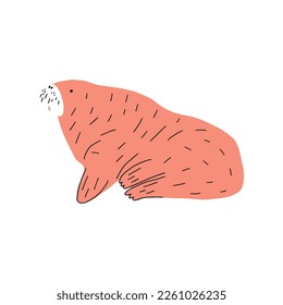 Cute walrus in Scandinavian style on a white background. Vector hand drawn kids illustration. Sea ocean. Underwater world