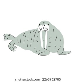 Cute walrus in Scandinavian style on a white background. Vector hand drawn kids illustration. Sea ocean. Underwater world