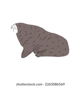 Cute walrus in Scandinavian style on a white background. Vector hand drawn kids illustration. Sea ocean. Underwater world
