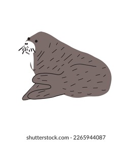Cute walrus in Scandinavian style on a white background. Vector hand drawn kids illustration. Sea ocean. Underwater world
