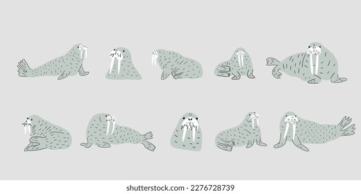 Cute walrus in Scandinavian style on a white background. Vector hand drawn kids illustration. Sea ocean. Underwater world