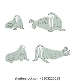 Cute walrus in Scandinavian style on a white background. Vector hand drawn kids illustration. Sea ocean. Underwater world