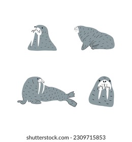 Cute walrus in Scandinavian style on a white background. Vector hand drawn kids illustration. Sea ocean. Underwater world