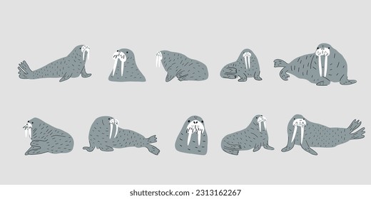 Cute walrus in Scandinavian style on a white background. Vector hand drawn kids illustration. Sea ocean. Underwater world