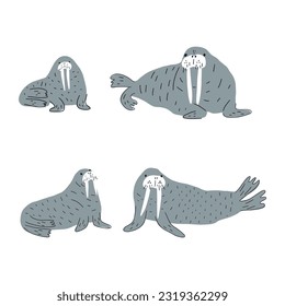 Cute walrus in Scandinavian style on a white background. Vector hand drawn kids illustration. Sea ocean. Underwater world