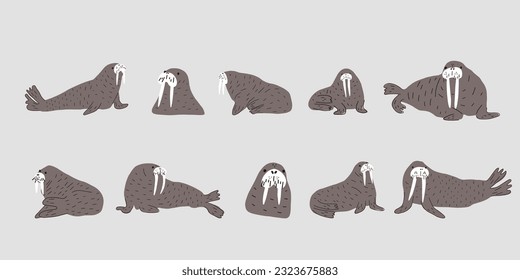 Cute walrus in Scandinavian style on a white background. Vector hand drawn kids illustration. Sea ocean. Underwater world