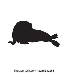 Cute walrus silhouette on a white background. Vector hand drawn kids illustration. Sea ocean. Underwater world