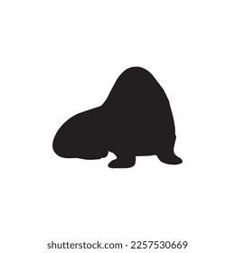 Cute walrus silhouette on a white background. Vector hand drawn kids illustration. Sea ocean. Underwater world