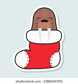 Cute walrus sleeps in a Christmas stocking. Cartoon sticker. Winter animal. Vector illustration.